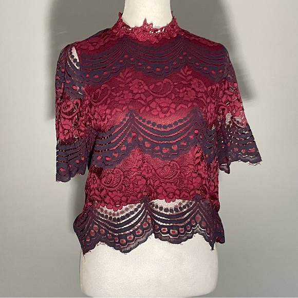 It Girl Burgundy/Navy, Scalloped Lace, Sheer, Lined, Demure, Victorian Blouse - Picture 14 of 16